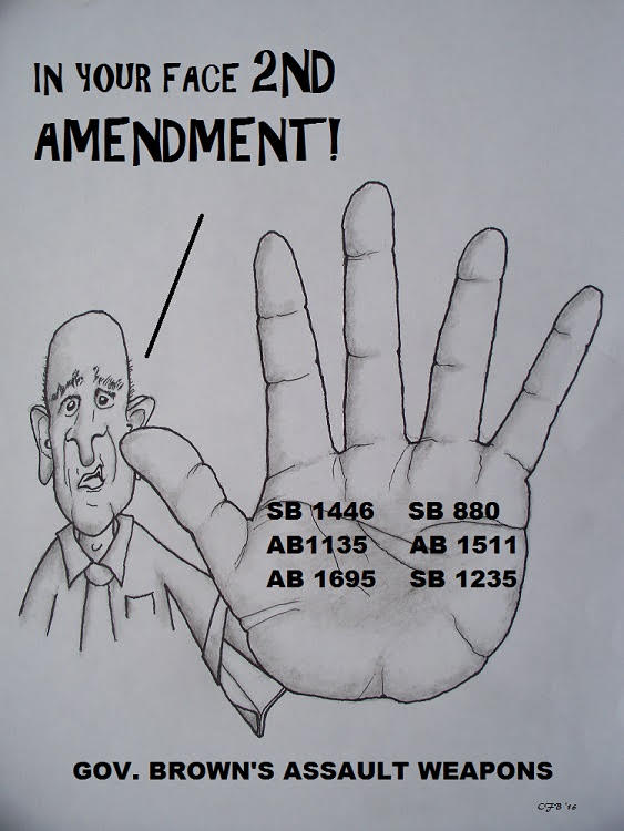 Bergman_Gov Brown Gun Laws